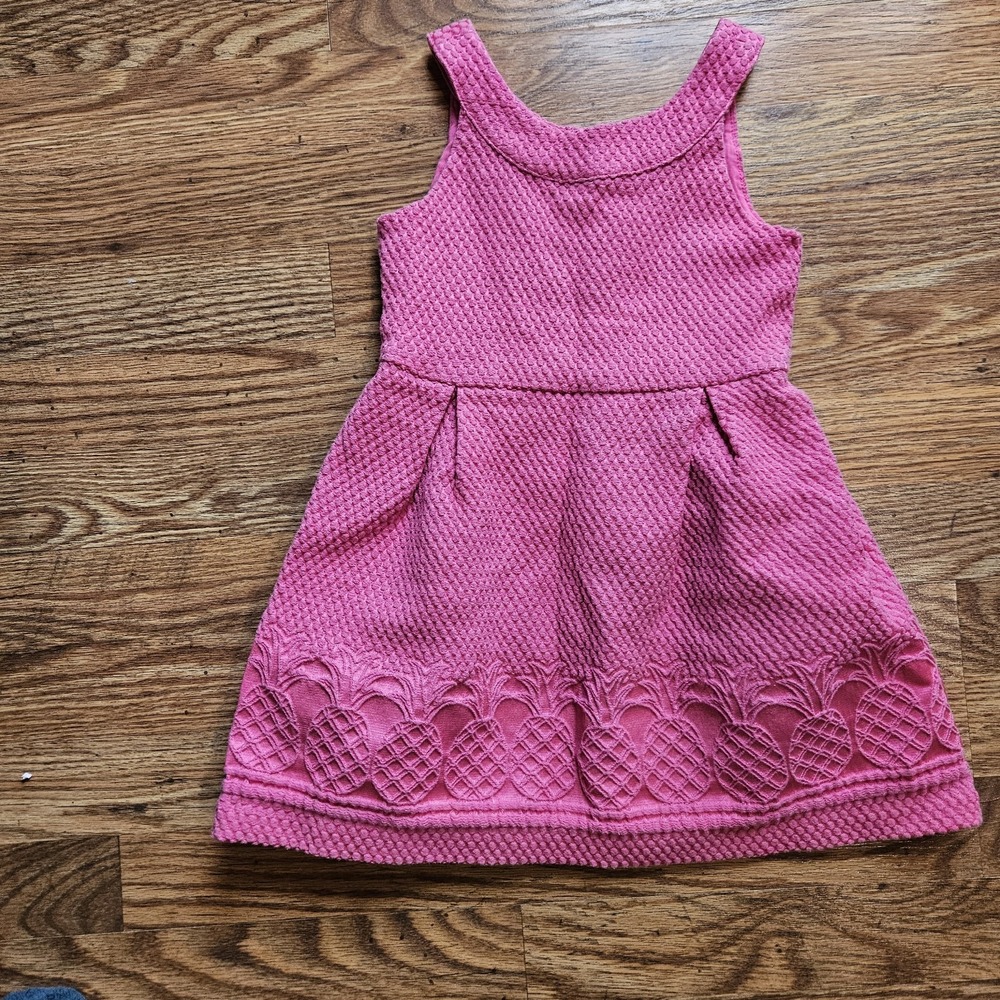 JANIE AND JACK Girls Dress Size 4 Pink Embossed Pineapple Textured Buttons